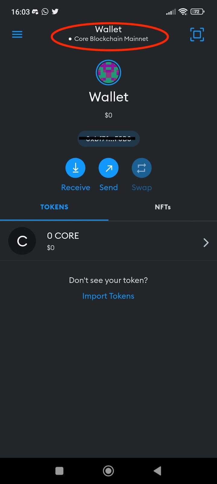 How to Claim Core Airdrop