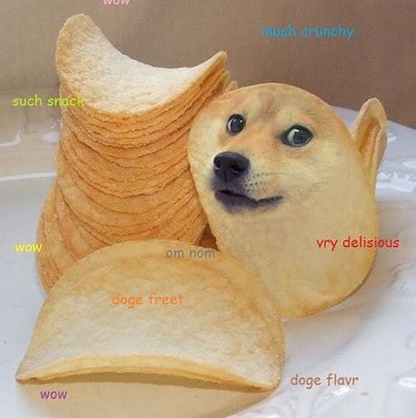 Doge Meme | Most Popular, Iconic Meme Of Our Generation. – The STATIC Store