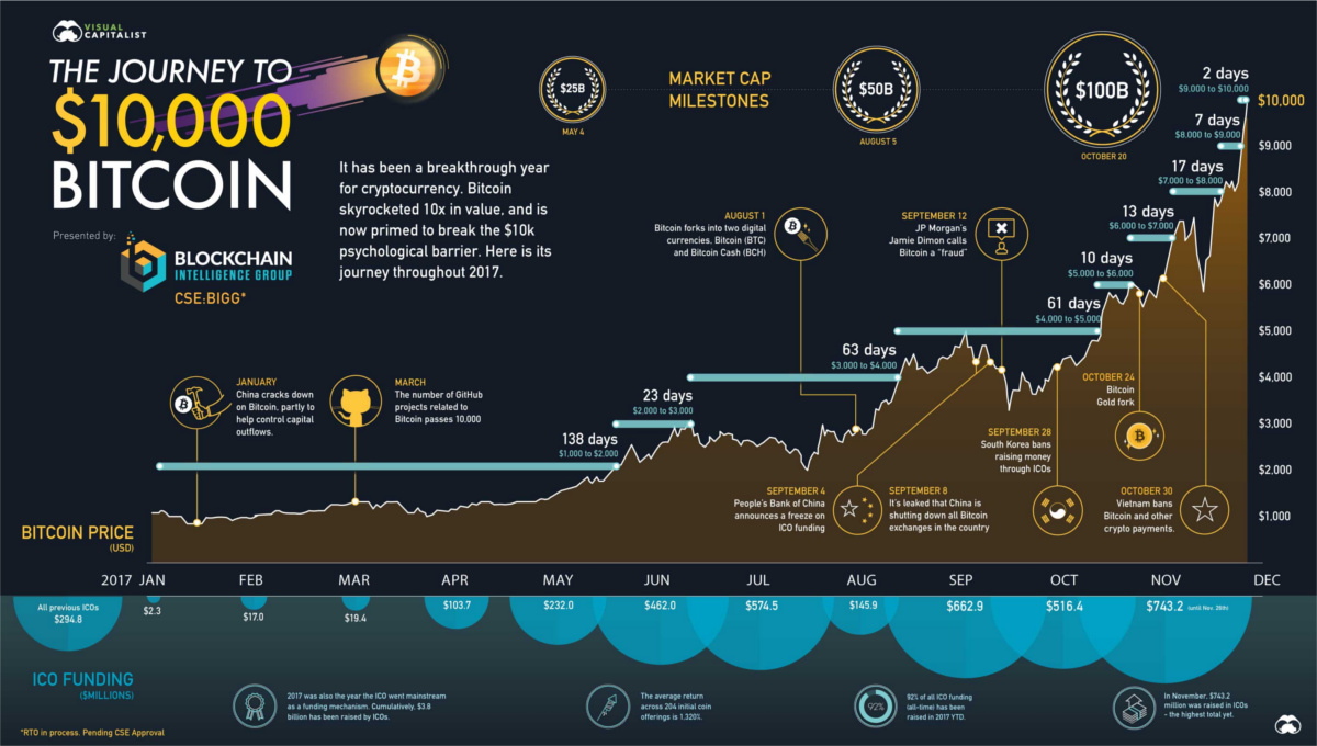 As banks buy up bitcoins, who else are the 'Bitcoin whales'?