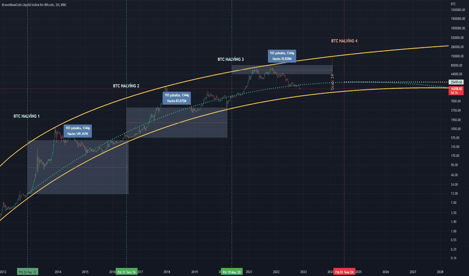 The History of Bitcoin Bull Runs | Trust