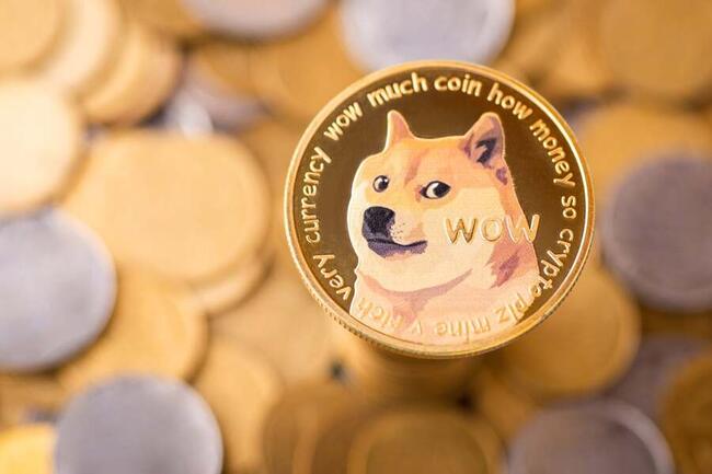 5, NGN to DOGE Converter | Nigerian Naira to Dogecoin Exchange Rates