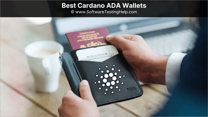 Best Cardano Wallets: Top 6 Safest Places to Store ADA