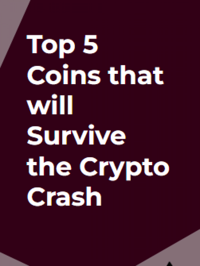 Five Cryptocurrencies That Will Survive the Crypto Crash - PayBitoPro