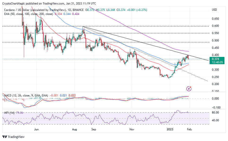 Cardano Bull Dan Gambardello Makes Intriguing ADA Forecast