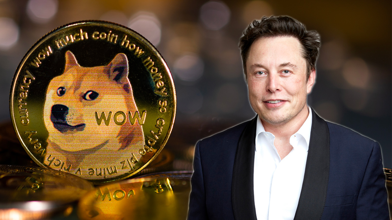 elon musk: Elon Musk says never suggested people should invest in Dogecoin - The Economic Times