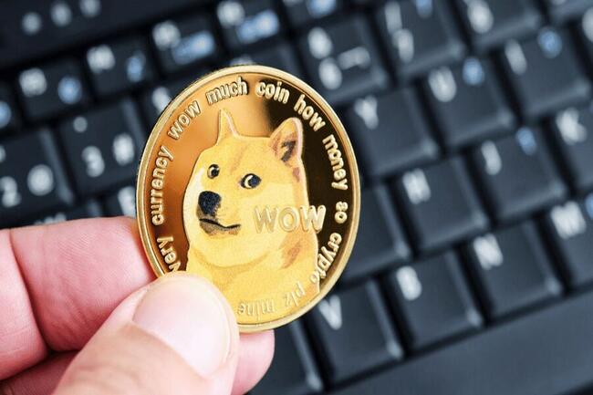 5 Dogecoin Price APIs & Free Alternatives List - March, | RapidAPI