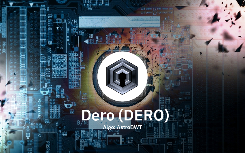 DERO Mining with HiveOS | MySrvCloud