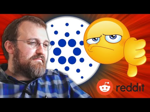 Crypto Picks According To Reddit: Cardano, Everlodge, BONK