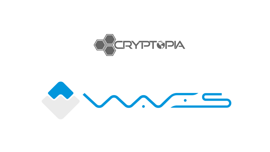 Cryptopia DOT Mining Pool - Reviews and Features | 1001fish.ru