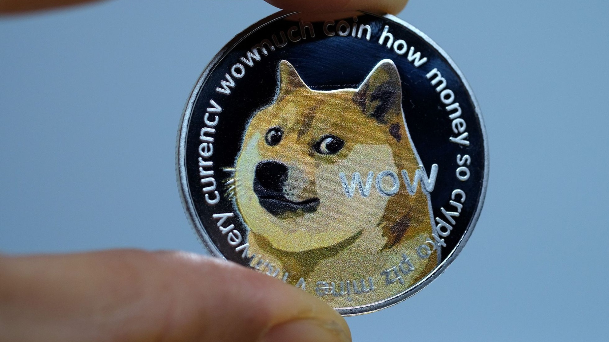 Dogecoin Vs. Shiba Inu ( Edition) - 1001fish.ru