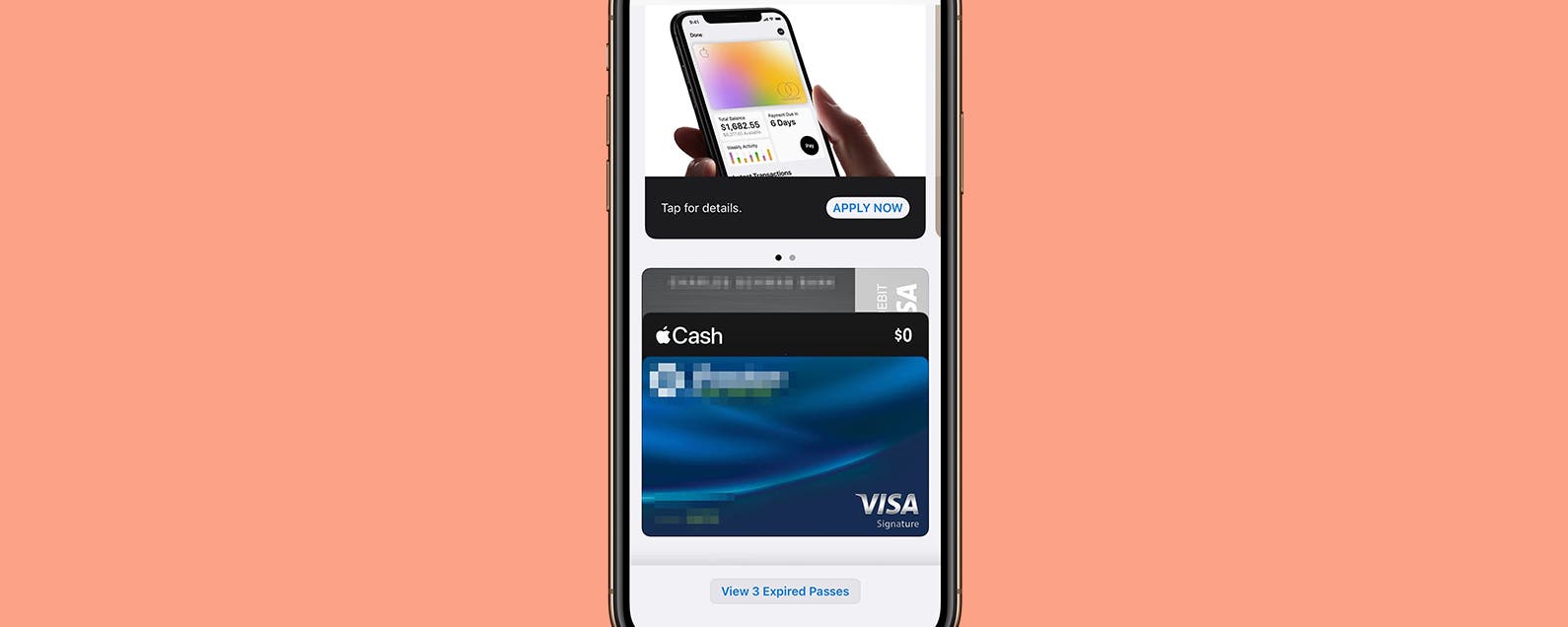 Apple Wallet Not Showing Add Card Option? 8 Ways to Fix!