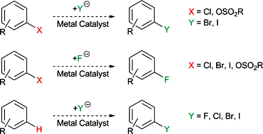 Metal-Mediated Halogen Exchange in Aryl and Vinyl Halides: A Review