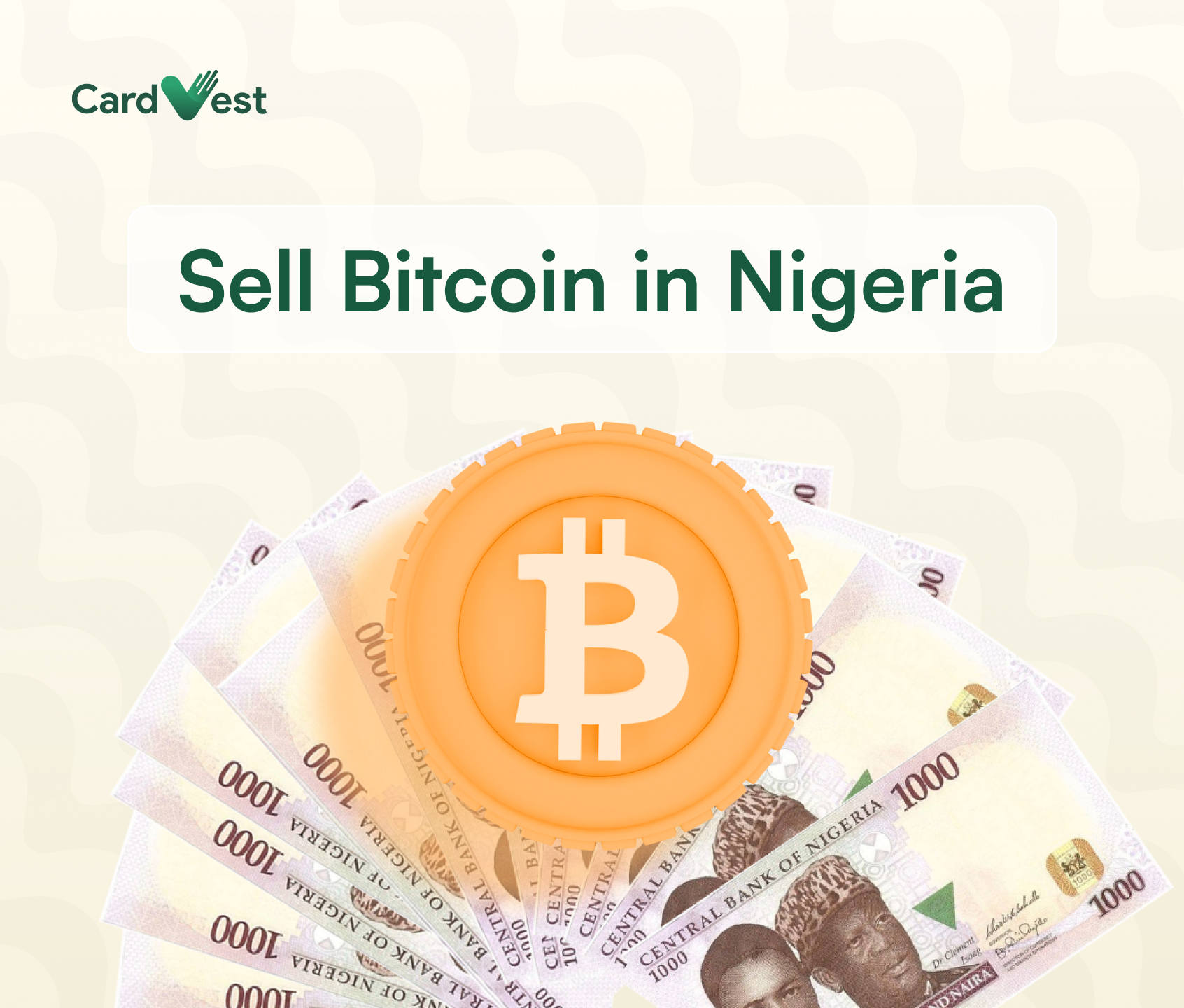 How much is bitcoins btc (BTC) to ₦ (NGN) according to the foreign exchange rate for today