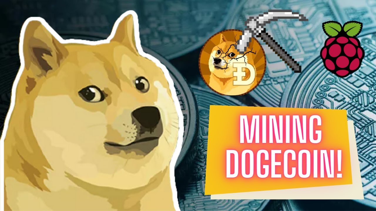 Mining Dogecoin with a Raspberry Pi: The Complete Guide – RaspberryTips