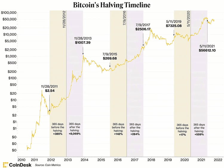 Upcoming Bitcoin Cash Halving Date - BCH Halving Countdown