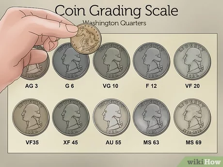 Certified Coins: When to Submit Your Coins to NGC & PCGS