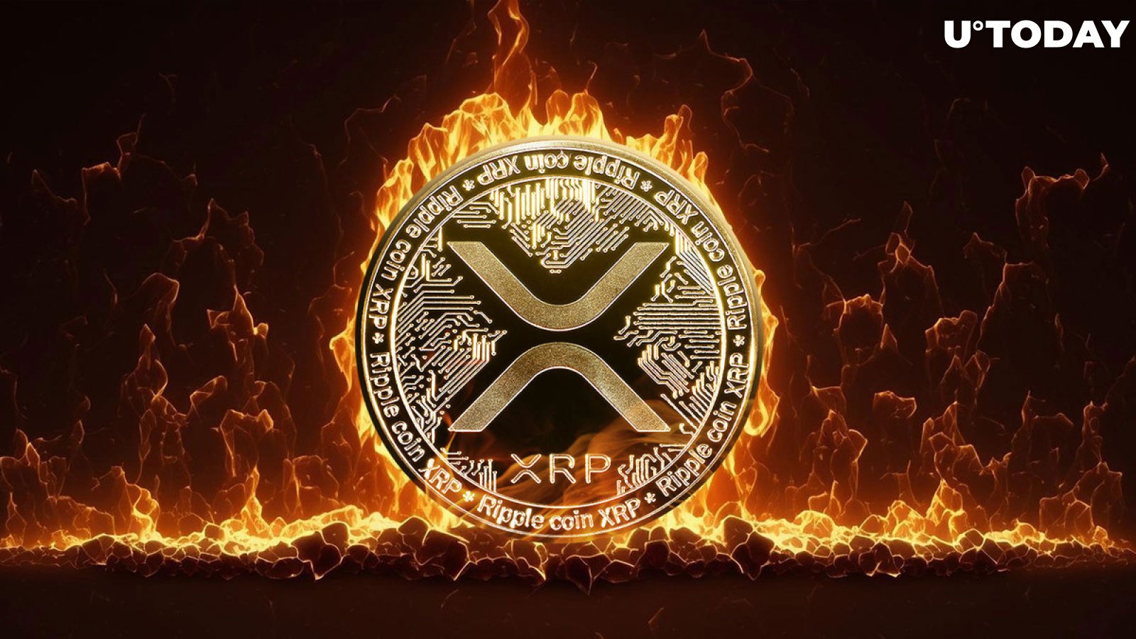 Ripple News: The Truth About XRP Burns, Expert Debunks Price Impact Myths