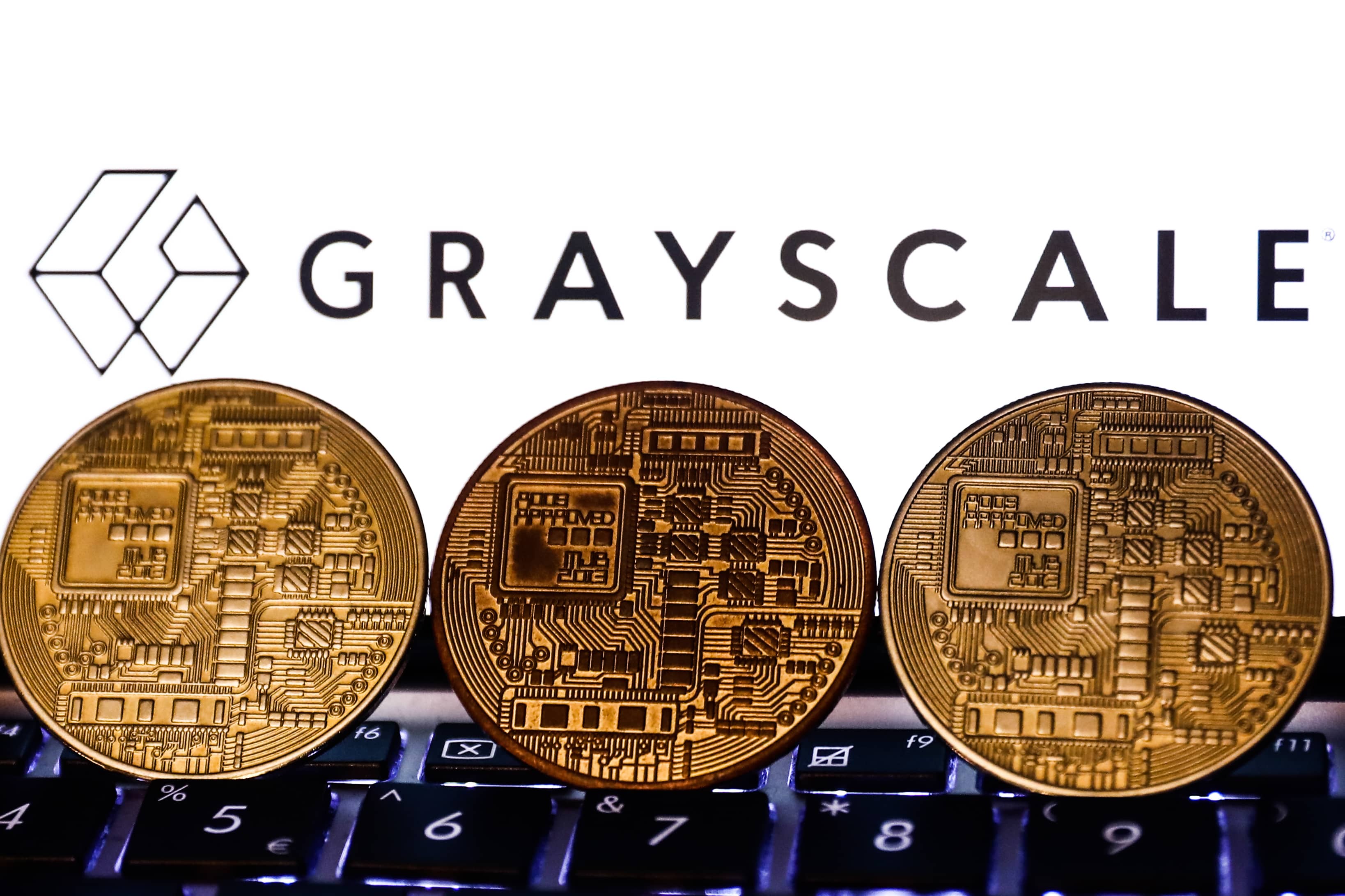 Grayscale Bitcoin Trust-Grayscale BTC Trust-Grayscale Bitcoin Trust Chart-coinank