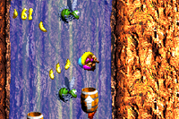 Super NES tips, codes, hints, cheats, and secrets: Donkey Kong Country 3