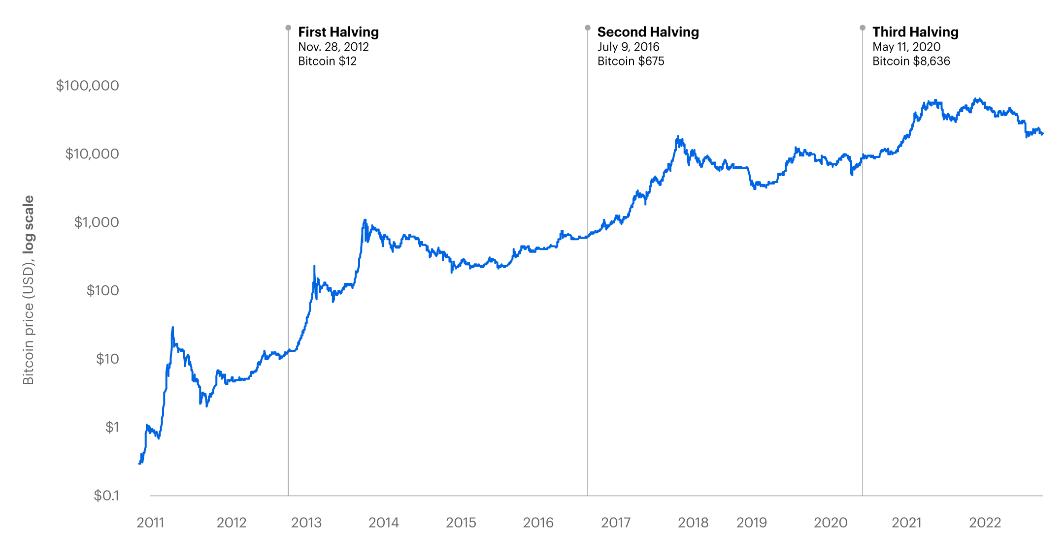 What Determines Bitcoin's Price?