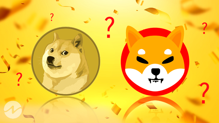 Shiba Inu coin: What experts say about the 'Dogecoin' killer hype | Fortune