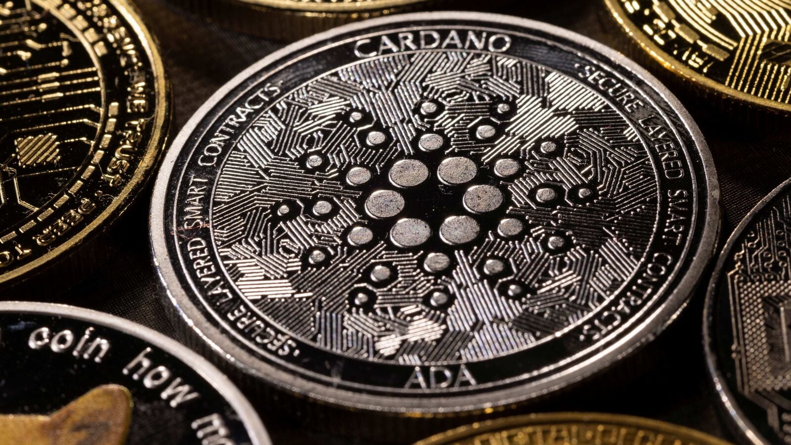 Cardano (ADA)| Cardano Price in India Today 06 March News in Hindi - 1001fish.ru