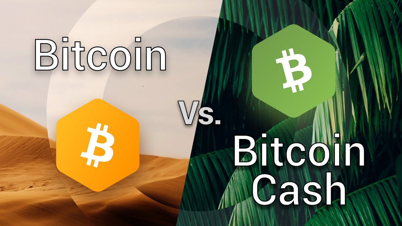 Bitcoin Cash vs Bitcoin: Understanding the Difference Between Them