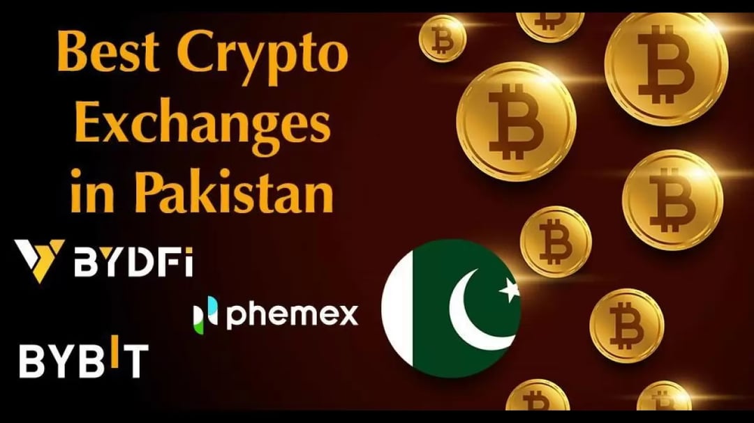 Best Crypto Exchange Pakistan: Top, Regulated, Legal, Safest, Lowest Fee | 1001fish.ru