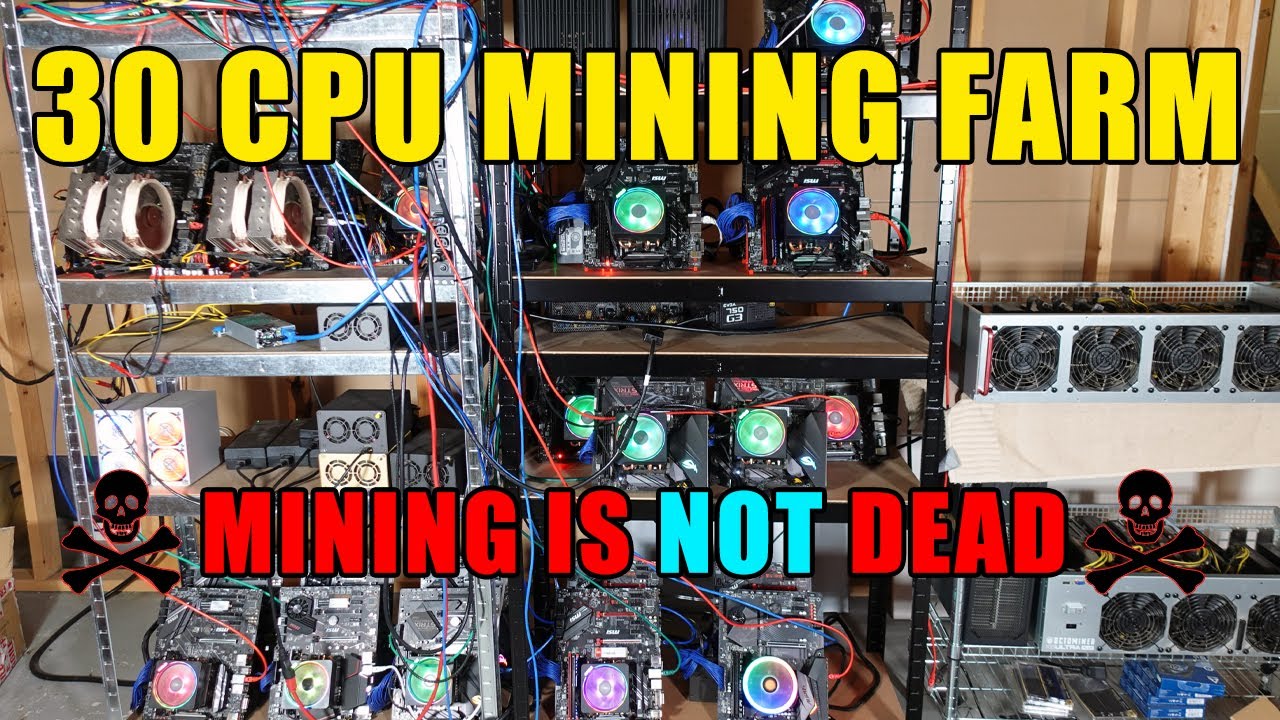 10 Best Mining CPUs for 