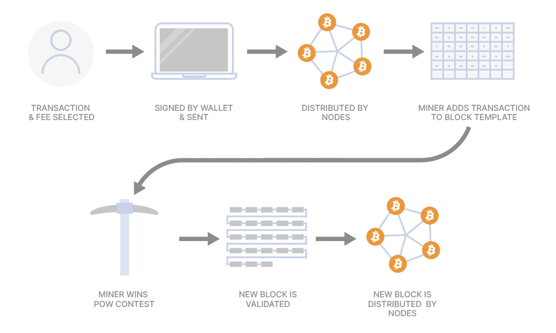 Bitcoin Full Nodes