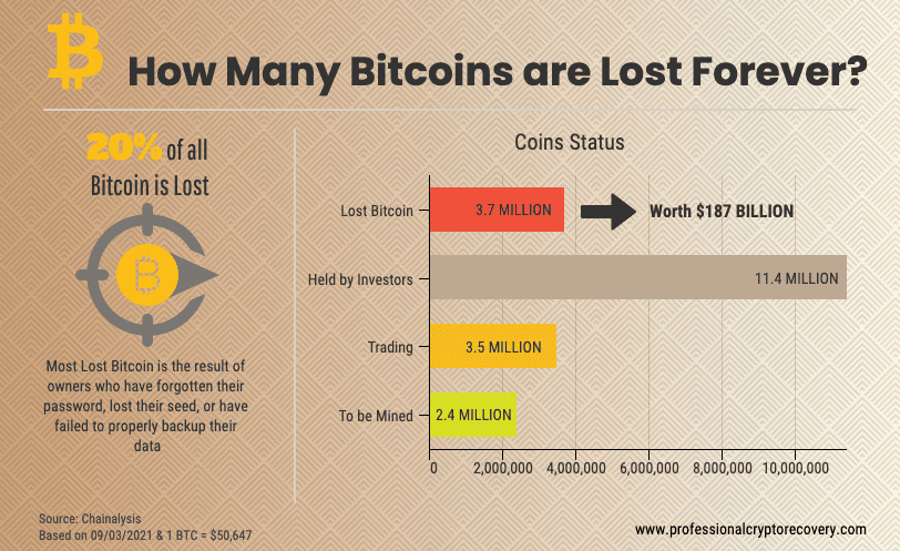 Half a Billion in Bitcoin, Lost in the Dump | The New Yorker