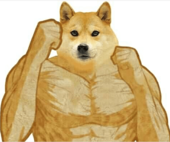 Doge Meme png images | PNGWing