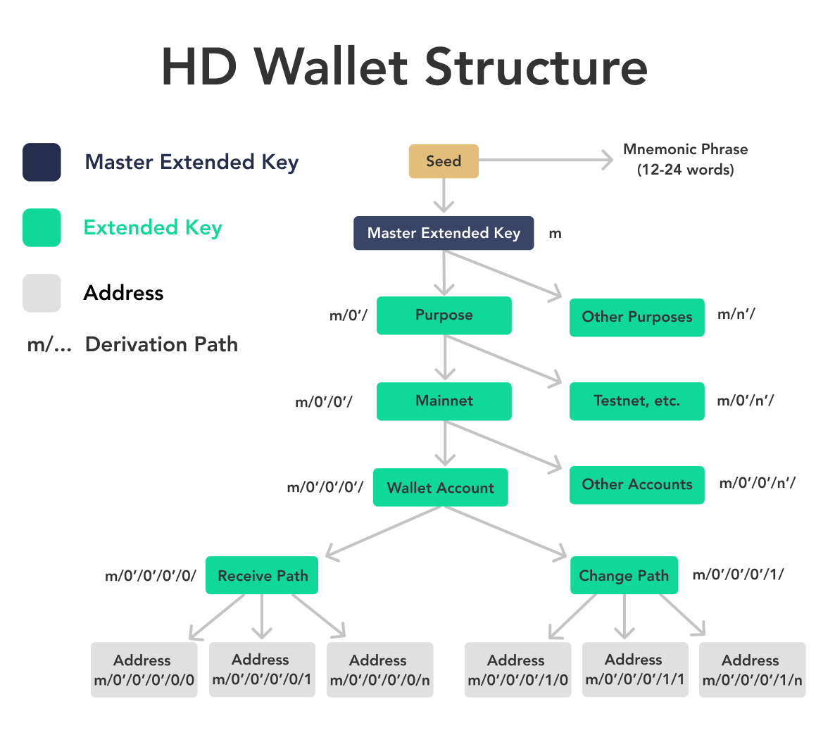 Hierarchical Deterministic (HD) Wallet: Meaning in Cryptocurrency