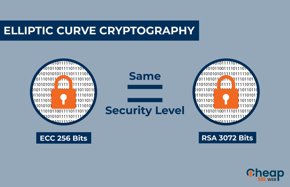 What is the Elliptic Curve Digital Signature Algorithm (ECDSA)?