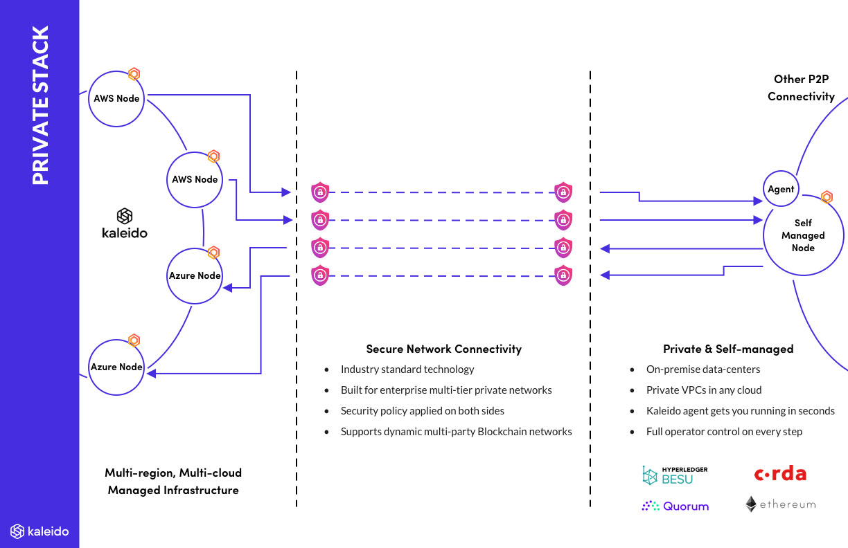 The Bitcoin Network