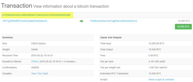 What is a BTC Transaction ID? What are the Uses of BTC Transaction ID? - 1001fish.ru