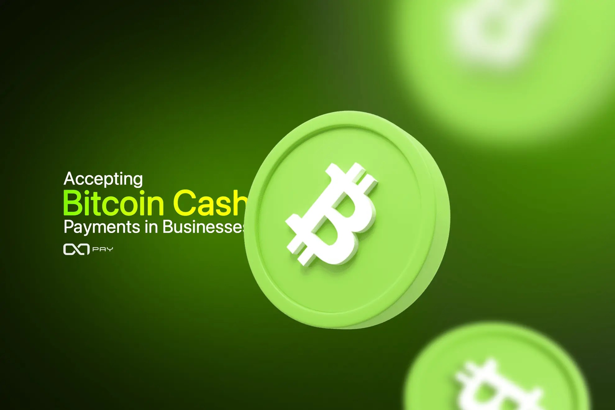 Bitcoin and Bitcoin Cash Payments