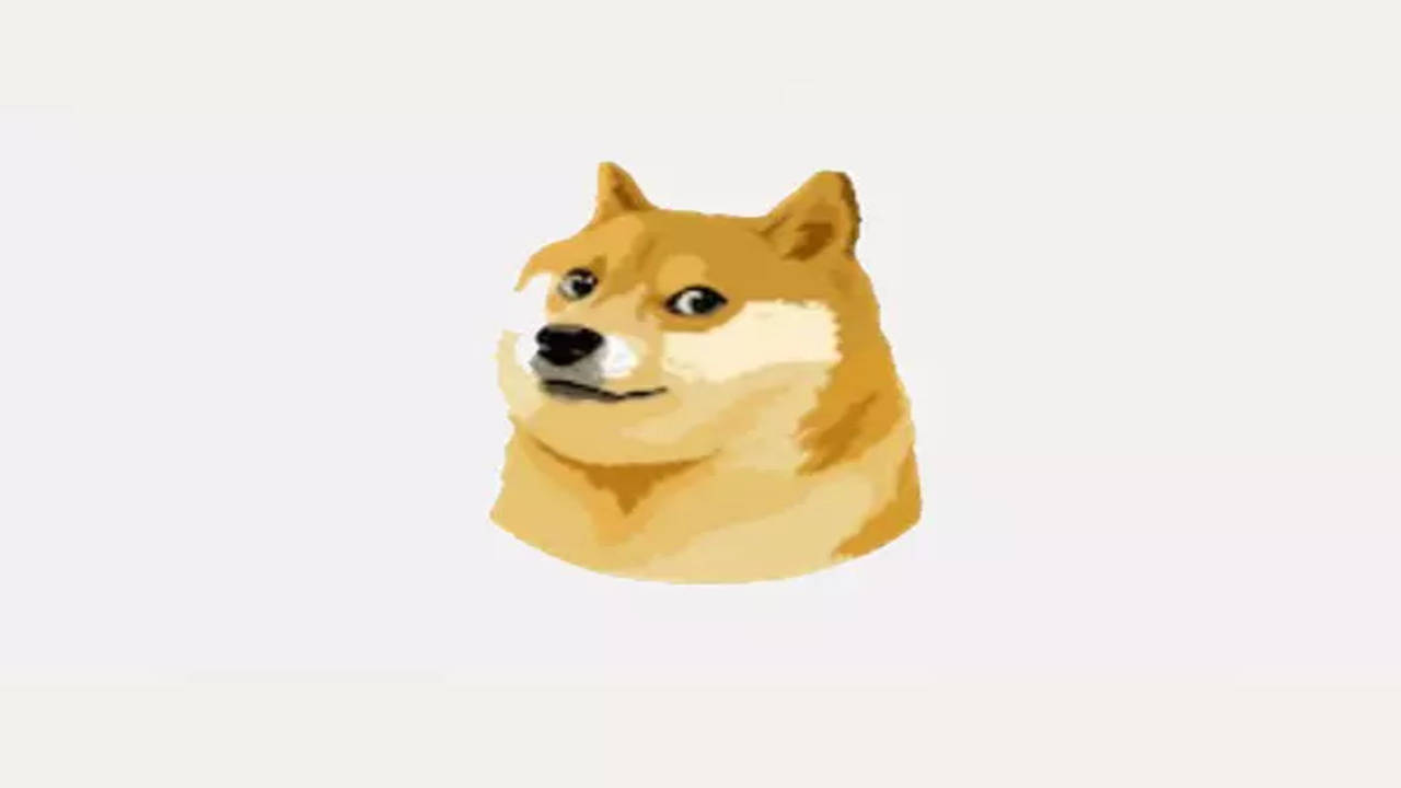 BUY DOGECOIN IN INDIA