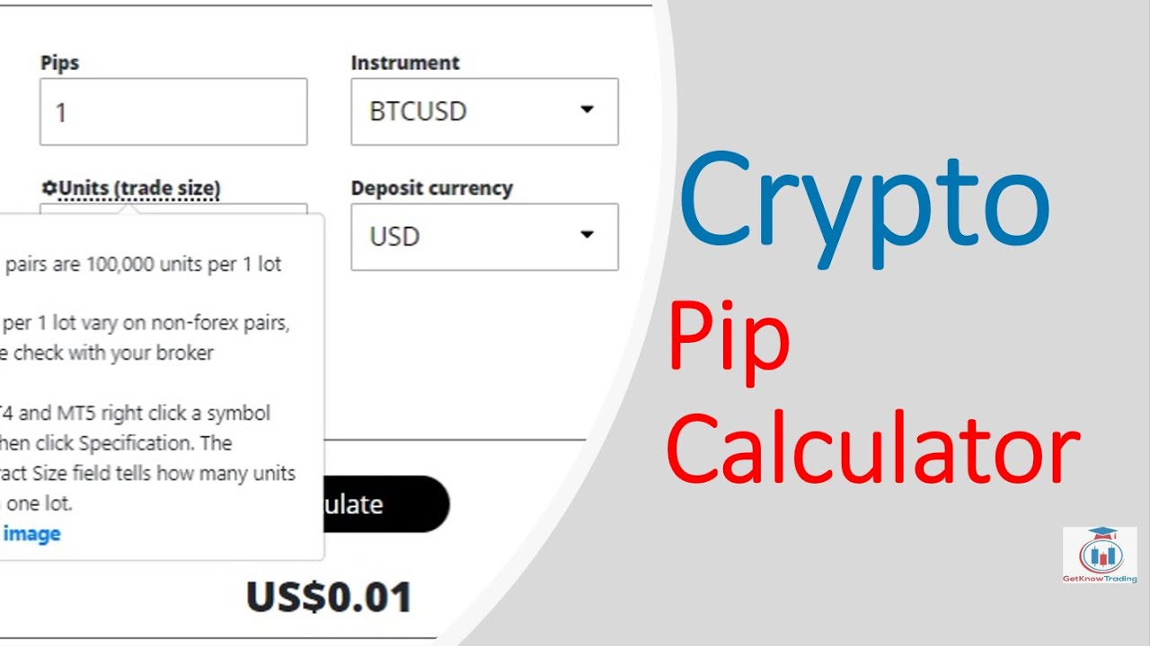 How to Calculate Pips in Crypto? – Forex Education