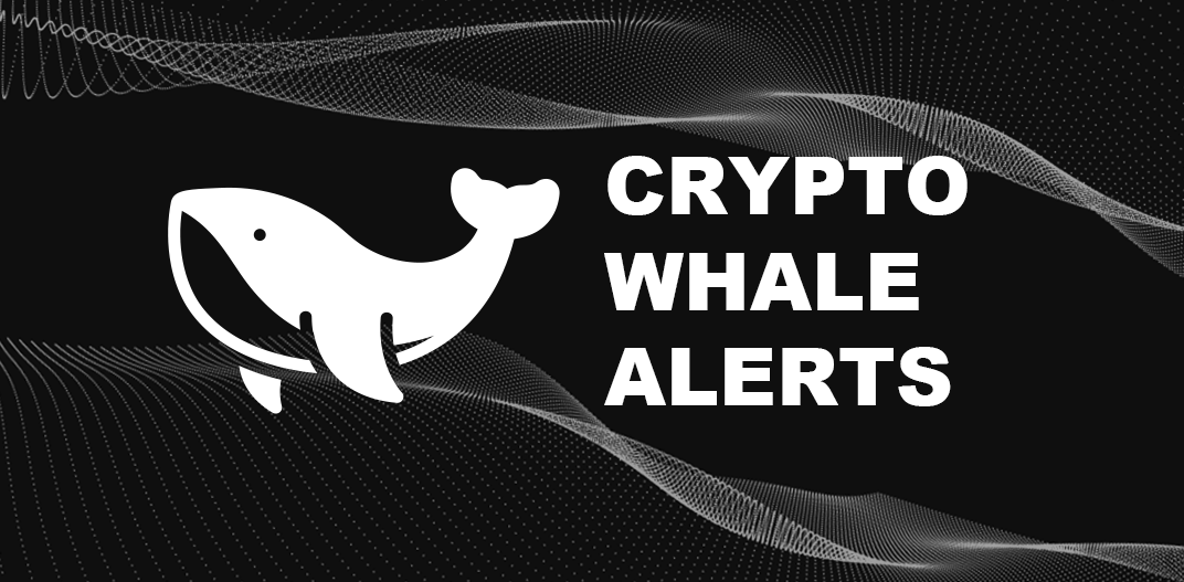 How to Find and Track a Profitable Crypto Whale? (5 Ways) - Coinapult