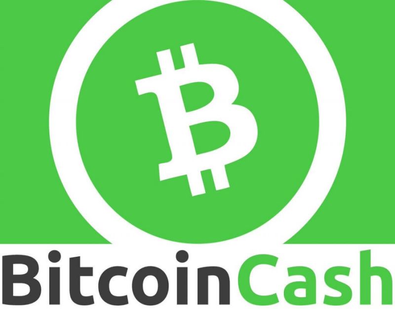 Investing In Bitcoin Cash (BCH) - Everything You Need to Know - 1001fish.ru