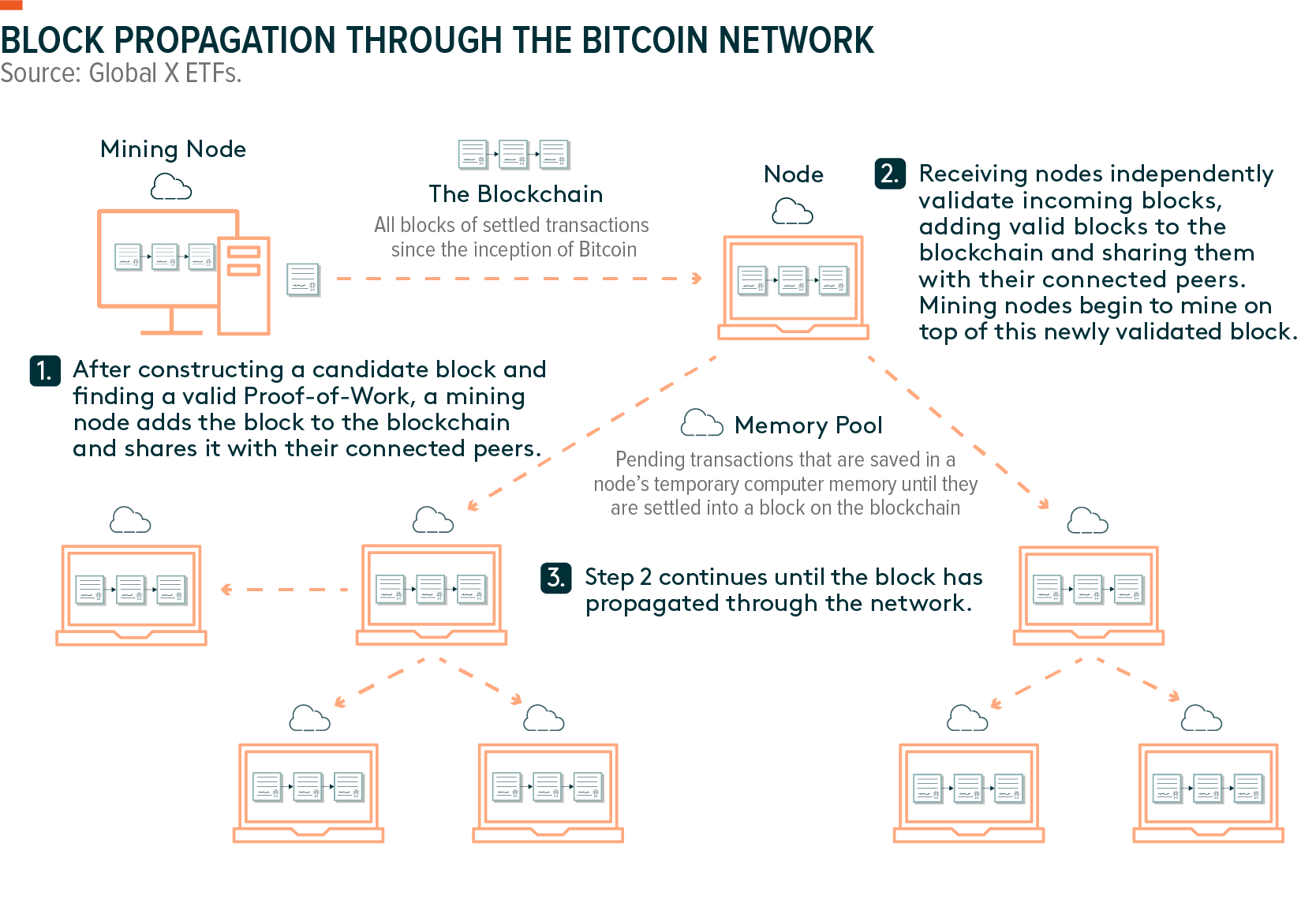 What Is a Block in the Blockchain? Block Structure | Gemini