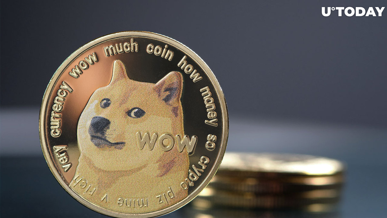 Doge (meme) - Wikipedia