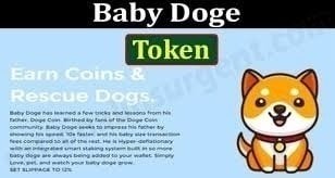 Baby Doge Coin Price | Baby Doge Coin Price and Live Chart - CoinDesk