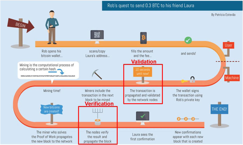 What are the Types of Nodes in Blockchain? - Utimaco