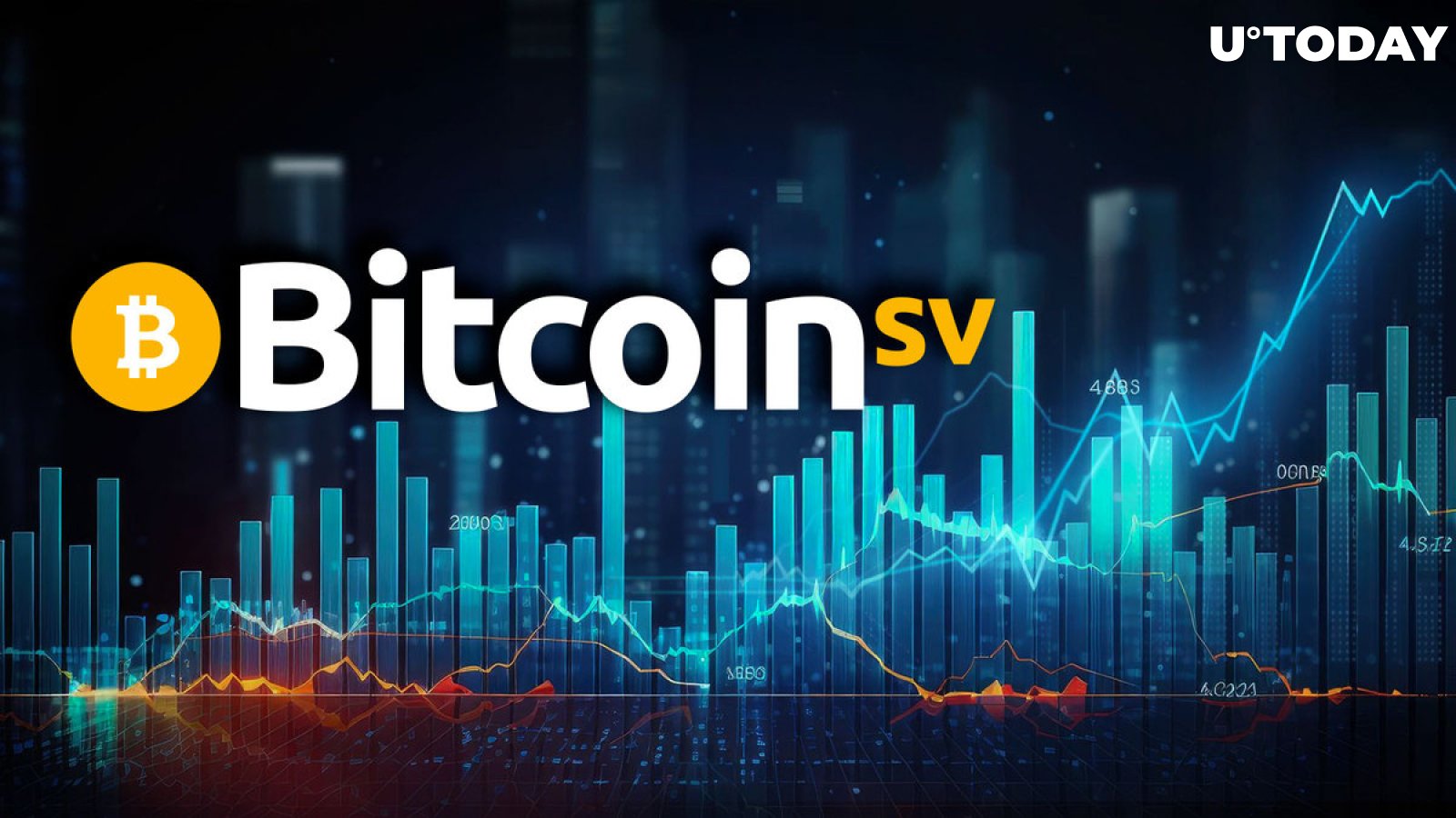 Wallets store - Shops, markets - pay with Bitcoin SV. BSV accepted here.