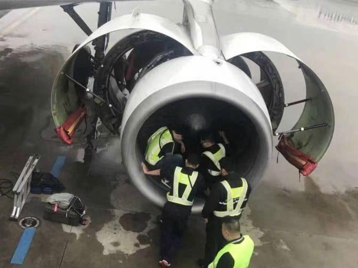 Lucky Air to sue man who tossed coins at jet engine - 1001fish.ru