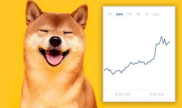 Live Dogecoin Price – How Does it Compare to Other Cryptocurrencies? - 1001fish.ru