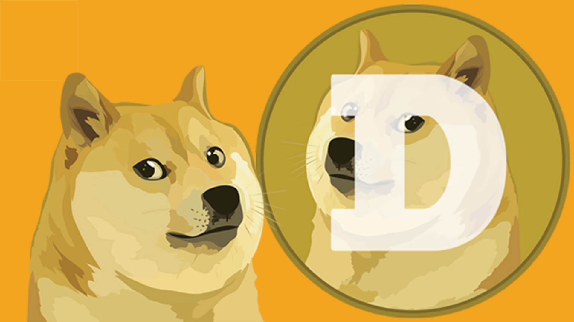 DOGE Founder Reveals His Actual Net Worth — You’ll Be Surprised