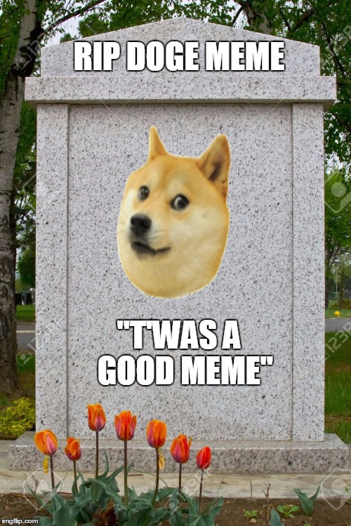 Doge (mem) – Wikipedie